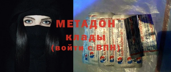 стаф Алексин