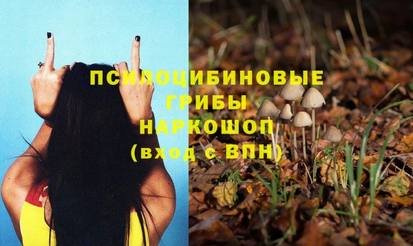 стаф Алексин