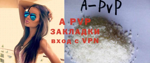 стаф Алексин