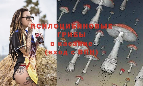 дживик Аркадак