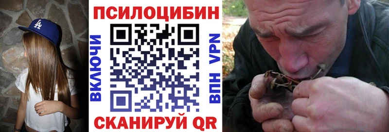 Галлюциногенные грибы MAGIC MUSHROOMS  даркнет сайт  Михайловск 