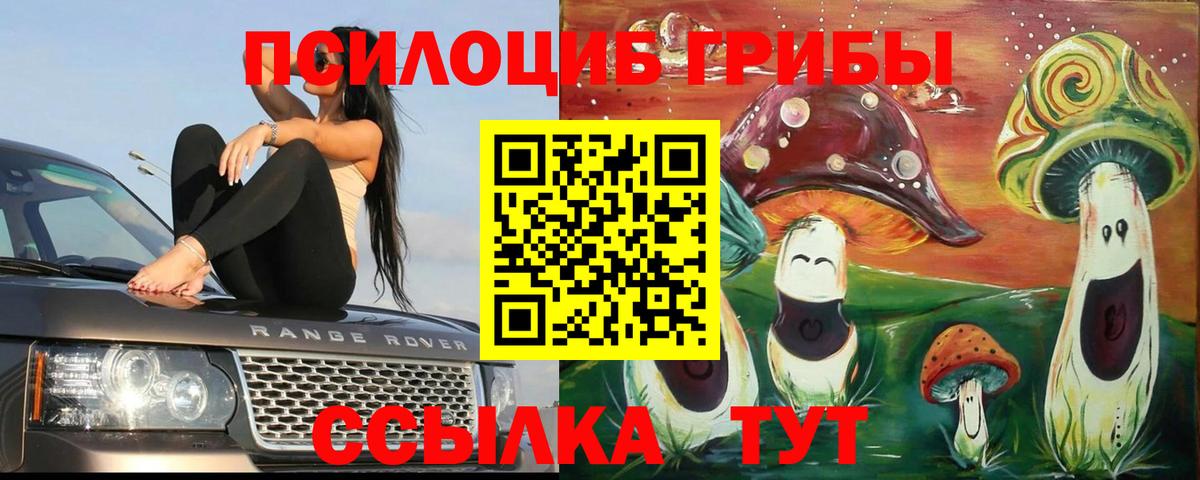 Михайловск  Галлюциногенные грибы GOLDEN TEACHER  Вход с VPN 